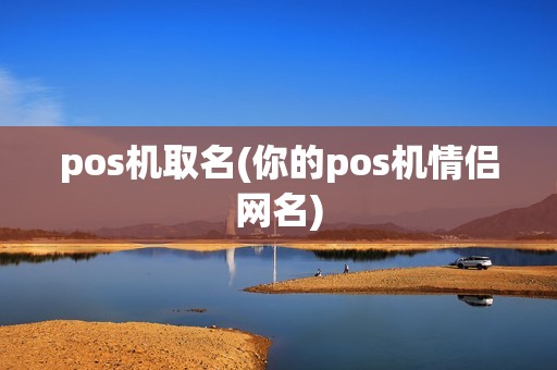 pos机取名(你的pos机情侣网名)