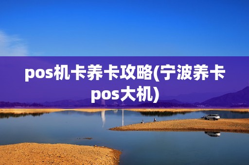 pos机卡养卡攻略(宁波养卡pos大机)