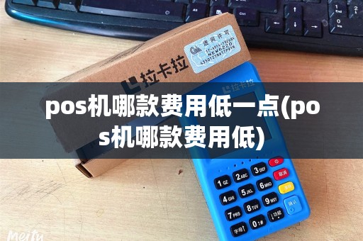 pos机哪款费用低一点(pos机哪款费用低)