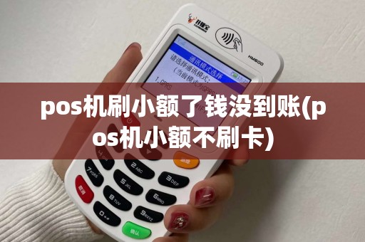pos机刷小额了钱没到账(pos机小额不刷卡)