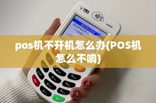 pos机不开机怎么办(POS机怎么不响)