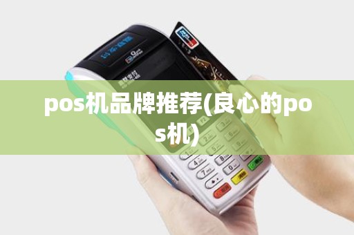 pos机品牌推荐(良心的pos机)