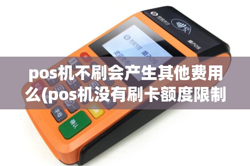 pos机不刷会产生其他费用么(pos机没有刷卡额度限制)
