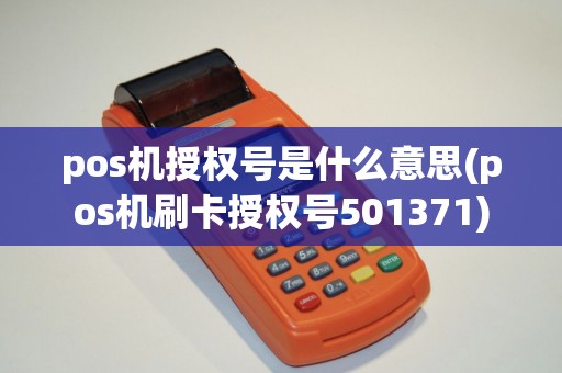 pos机授权号是什么意思(pos机刷卡授权号501371)