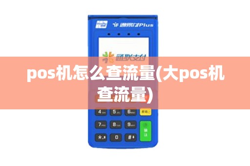 pos机怎么查流量(大pos机查流量) pos机怎么查流量(大pos机查流量)