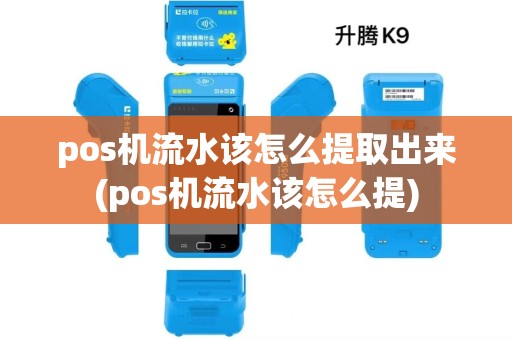 pos机流水该怎么提取出来(pos机流水该怎么提) pos机流水该怎么提取出来(pos机流水该怎么提)
