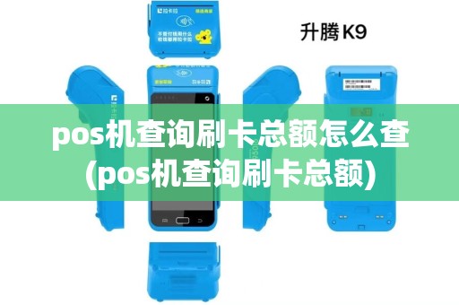 pos机查询刷卡总额怎么查(pos机查询刷卡总额)