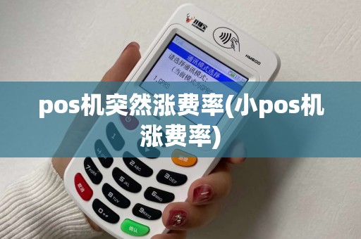 pos机突然涨费率(小pos机涨费率)