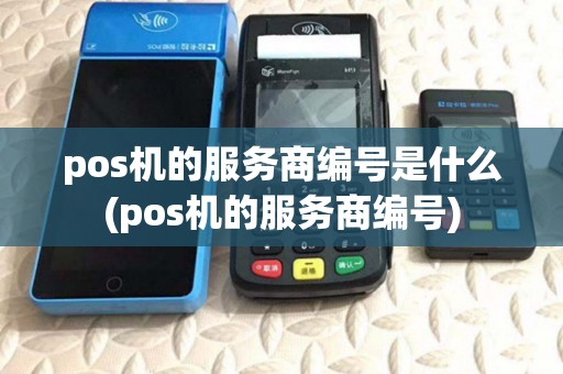 pos机的服务商编号是什么(pos机的服务商编号)