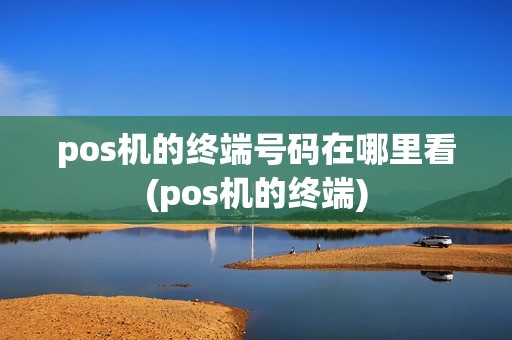 pos机的终端号码在哪里看(pos机的终端)