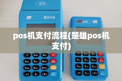 pos机支付流程(楚雄pos机支付) pos机支付流程(楚雄pos机支付)