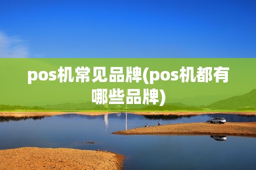 pos机常见品牌(pos机都有哪些品牌)