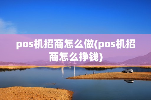pos机招商怎么做(pos机招商怎么挣钱)