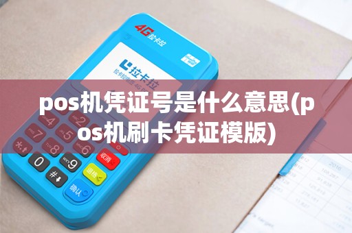 pos机凭证号是什么意思(pos机刷卡凭证模版)