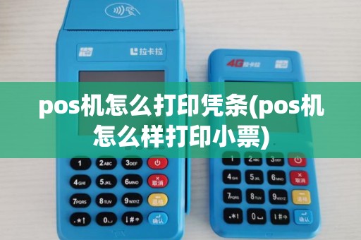 pos机怎么打印凭条(pos机怎么样打印小票)