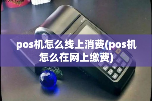 pos机怎么线上消费(pos机怎么在网上缴费)