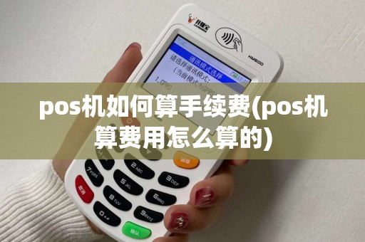 pos机如何算手续费(pos机算费用怎么算的)