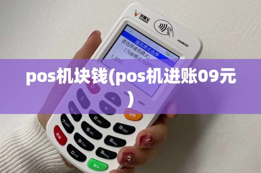 pos机块钱(pos机进账09元)