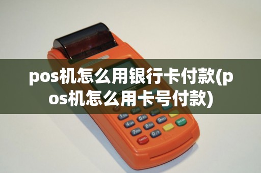 pos机怎么用银行卡付款(pos机怎么用卡号付款)