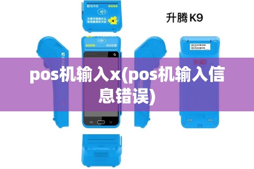 pos机输入x(pos机输入信息错误) pos机输入x(pos机输入信息错误)