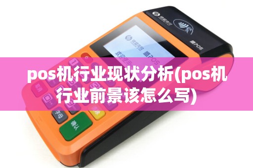 pos机行业现状分析(pos机行业前景该怎么写)