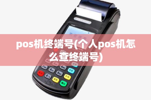 pos机终端号(个人pos机怎么查终端号)