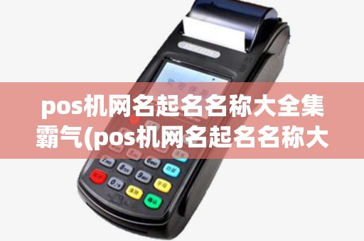 pos机网名起名名称大全集霸气(pos机网名起名名称大全集)
