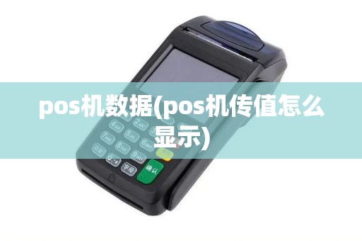 pos机数据(pos机传值怎么显示)