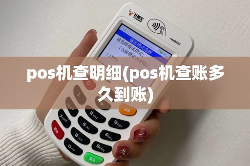 pos机查明细(pos机查账多久到账)