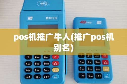 pos机推广牛人(推广pos机别名) pos机推广牛人(推广pos机别名)