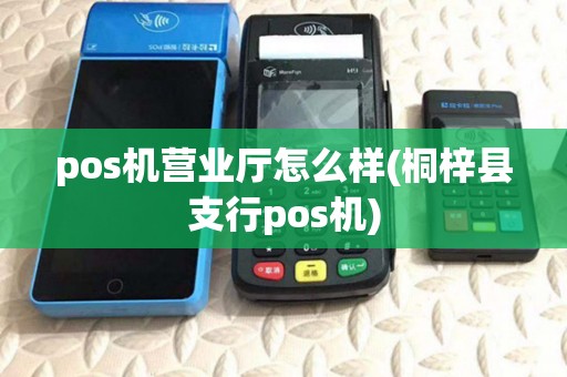 pos机营业厅怎么样(桐梓县支行pos机) pos机营业厅怎么样(桐梓县支行pos机)