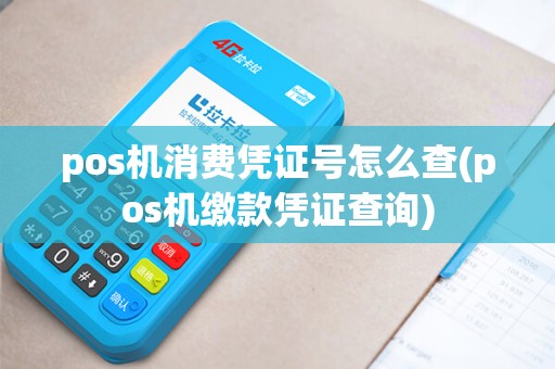 pos机消费凭证号怎么查(pos机缴款凭证查询) pos机消费凭证号怎么查(pos机缴款凭证查询)