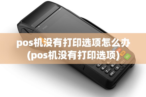 pos机没有打印选项怎么办(pos机没有打印选项) pos机没有打印选项怎么办(pos机没有打印选项)