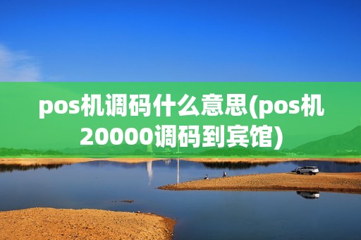pos机调码什么意思(pos机20000调码到宾馆) pos机调码什么意思(pos机20000调码到宾馆)