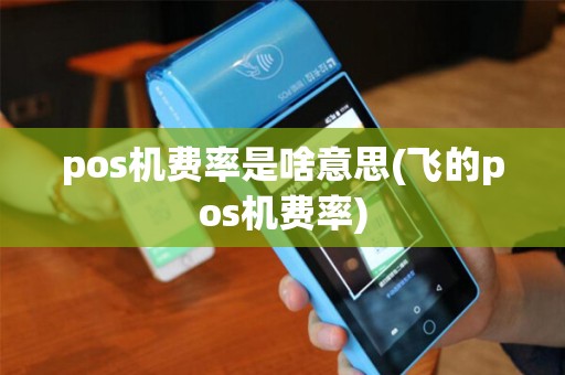 pos机费率是啥意思(飞的pos机费率) pos机费率是啥意思(飞的pos机费率)