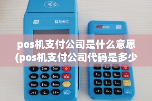 pos机支付公司是什么意思(pos机支付公司代码是多少) pos机支付公司是什么意思(pos机支付公司代码是多少)