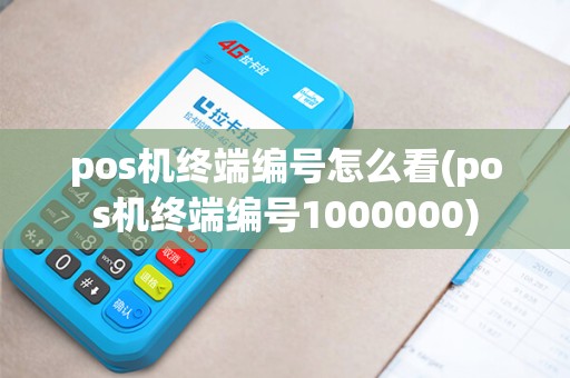 pos机终端编号怎么看(pos机终端编号1000000) pos机终端编号怎么看(pos机终端编号1000000)