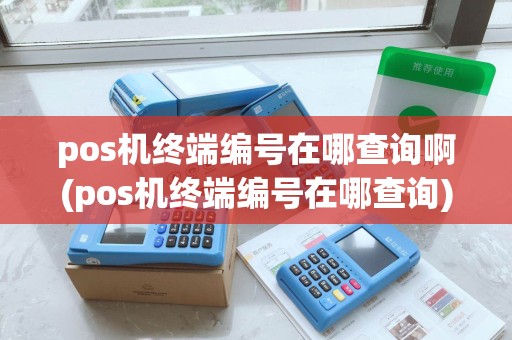pos机终端编号在哪查询啊(pos机终端编号在哪查询) pos机终端编号在哪查询啊(pos机终端编号在哪查询)
