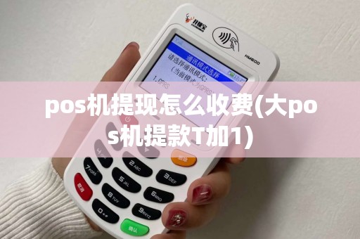 pos机提现怎么收费(大pos机提款T加1) pos机提现怎么收费(大pos机提款T加1)