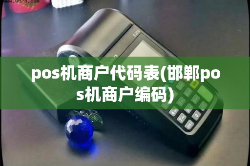 pos机商户代码表(邯郸pos机商户编码) pos机商户代码表(邯郸pos机商户编码)