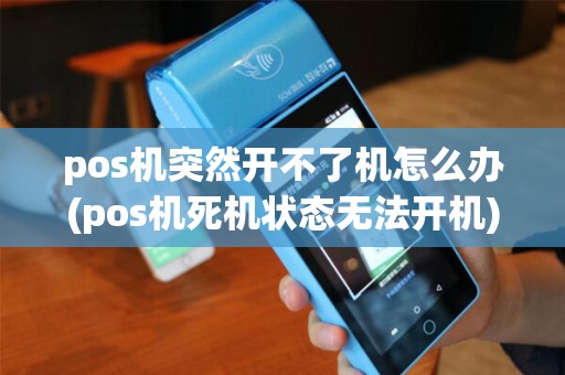 pos机突然开不了机怎么办(pos机死机状态无法开机) pos机突然开不了机怎么办(pos机死机状态无法开机)