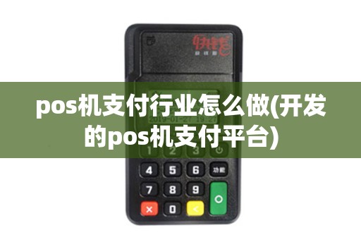 pos机支付行业怎么做(开发的pos机支付平台) pos机支付行业怎么做(开发的pos机支付平台)