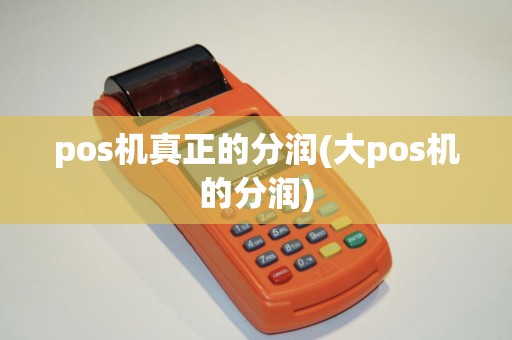 pos机真正的分润(大pos机的分润) pos机真正的分润(大pos机的分润)