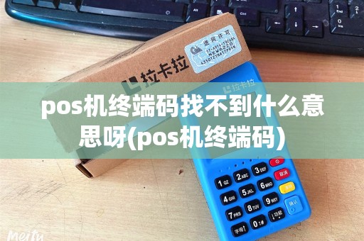 pos机终端码找不到什么意思呀(pos机终端码) pos机终端码找不到什么意思呀(pos机终端码)