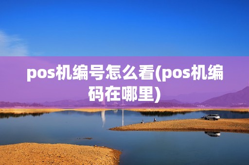 pos机编号怎么看(pos机编码在哪里) pos机编号怎么看(pos机编码在哪里)