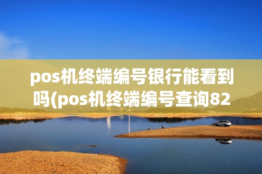 pos机终端编号银行能看到吗(pos机终端编号查询823) pos机终端编号银行能看到吗(pos机终端编号查询823)