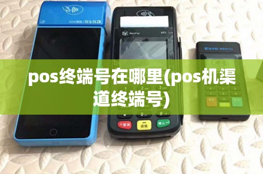 pos终端号在哪里(pos机渠道终端号)