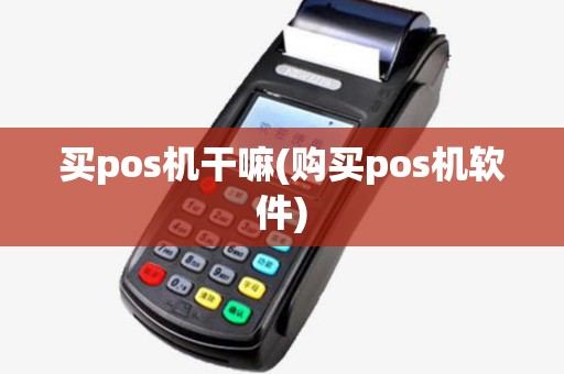 买pos机干嘛(购买pos机软件) 买pos机干嘛(购买pos机软件)