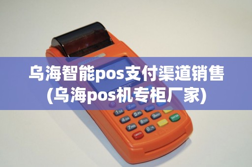 乌海智能pos支付渠道销售(乌海pos机专柜厂家) 乌海智能pos支付渠道销售(乌海pos机专柜厂家)