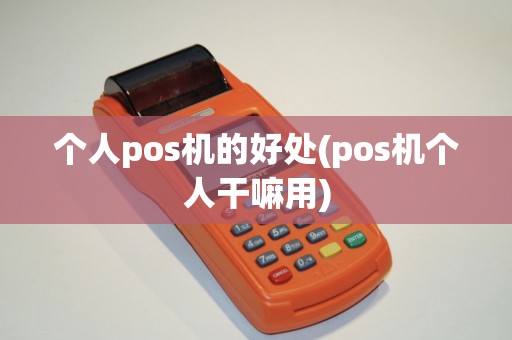 个人pos机的好处(pos机个人干嘛用)